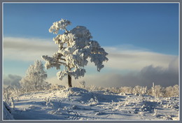 on top of the world / ***