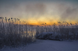 Early morning / ***