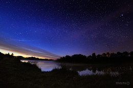 summer night / ***