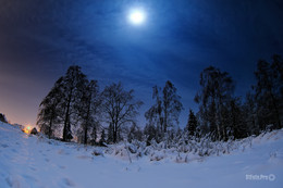 Winter Night / ***