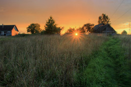 Evening / ***