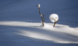 WINTERLICHT / Geshen und fotografiert auf meiner Fototour im Harz.