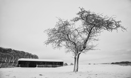 AN DER RAUSCHENBURG / Zu jeder Jahreszeit bin ich an der Rauschenburg in Olfen im Münsterland zwecks FOTOGRAFIE hier.