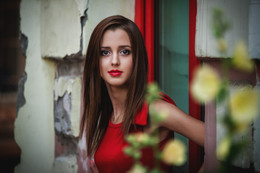 Lady in red / ***