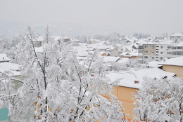 Snow / ***