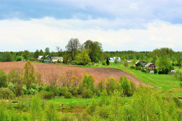 Spring in the village ... / ***