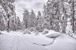 It&#39;s a nasty day / ***