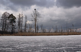 Lake in the marshes / ***