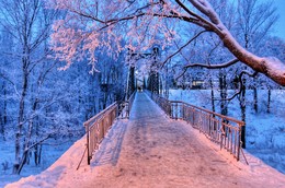 The bridge / ***