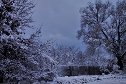 Winter sketch / ***
