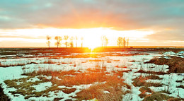 sunset / ***