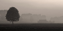 MORGENSTIMMUNG / Morgens um halb ............... Uhr in der näheren Umgebung von Olfen im Münsterland.