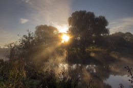 Dawn, Fog / ***