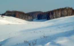 Winter landscape / ***