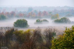 misty morning in October / ***