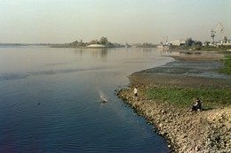 ripples / ***