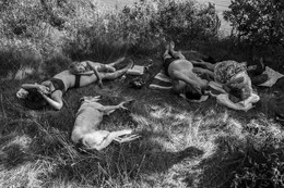 forty winks / ***