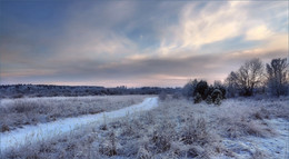 Winter sketch / ***