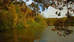 In autumn park / ***