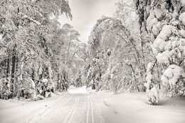 Snow Alley / ***