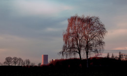 KRAFTWERK / Blick vonm Lande her (Olfen) nach Datteln zum E.on Kraftwerk.