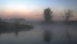 Dawn, Fog / ***