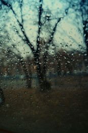 Rain / ***