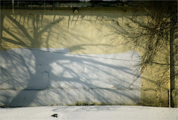 spring tree / [img]http://i10.pixs.ru/storage/9/5/6/Neobiknove_6749311_20770956.jpg[/img]
[img]http://i11.pixs.ru/storage/0/6/3/ElochkiDOj_4715921_20771063.jpg[/img]
