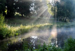 Morning reflection / ***