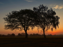 ABENDSTIMMUNG / Abendstimmung vor den Toren meiner Heimatstadt Olfen im Münsterland.