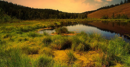 Lakeland taiga ... / ***