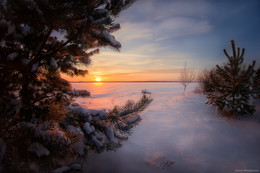 Winter Sunset / ***