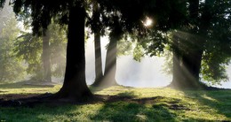 At sunrise / ***