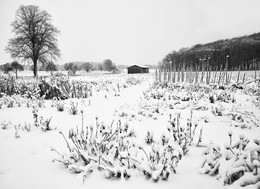 AN DER LIPPE / An einem Wintermorgen an der Lippe in Olfen im Münsterland. Hier bin ich ganz in der Nähe der Rauschenburg.