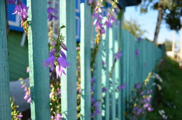 The beauty of simplicity / ***