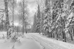 Winter road / ***