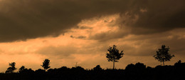 MÜNSTERLAND / Abendstimmung im Münsterland. Hier war ein Panorama die &quot;WAHL&quot; für mich.