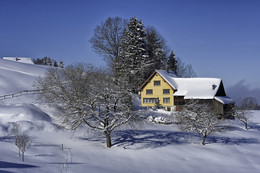 Strahlender Winternachmittag / im Appenzellerland