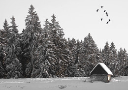 IM HARZ / Winter im Harz. SCHNEE und NATUR PUR. So ist diese Jahreszeit einfach nur schön.