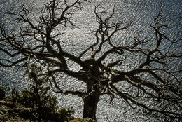 Life over the precipice / ...