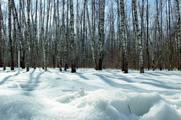 Frost and sun – what a wonderful day / ***