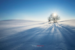 Frost and sun – what a wonderful day / ***