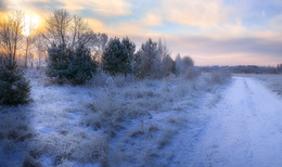 Frost and sun – what a wonderful day / ***