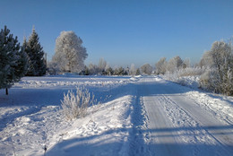 Frost and sun – what a wonderful day / ***