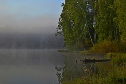 Morning fog / ***