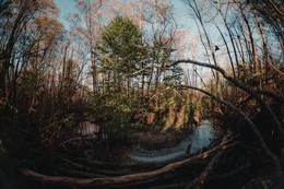 Forest River / ***