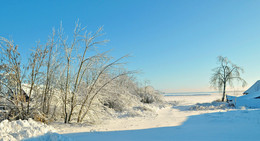 Winter in the village / ***