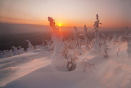 Winter Sun / ***