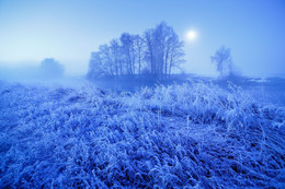 Misty winter night / http://max-helloween.livejournal.com/132336.html