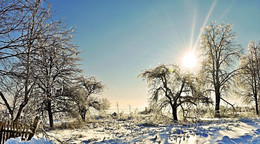 Frost and sun / ***